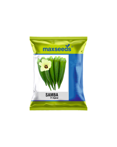 Samba