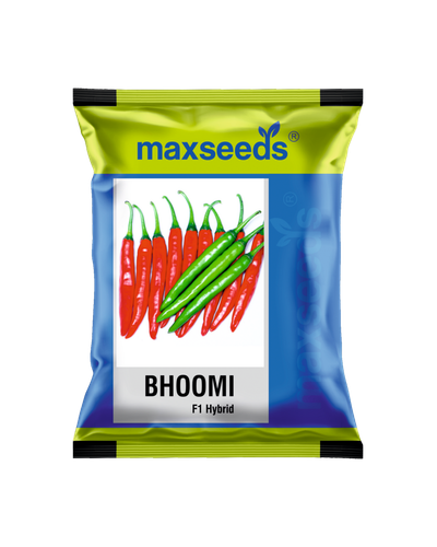 Bhoomi