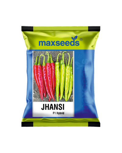 Jhansi