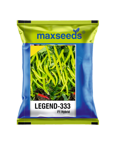 Legend 333