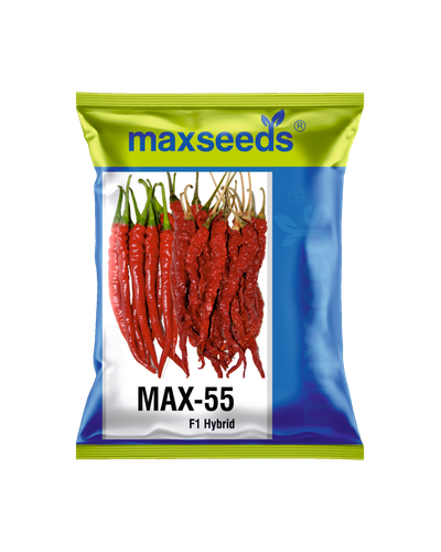 Max 55