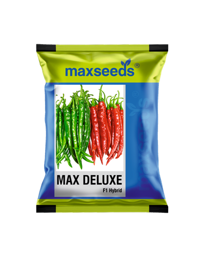 Max Deluxe