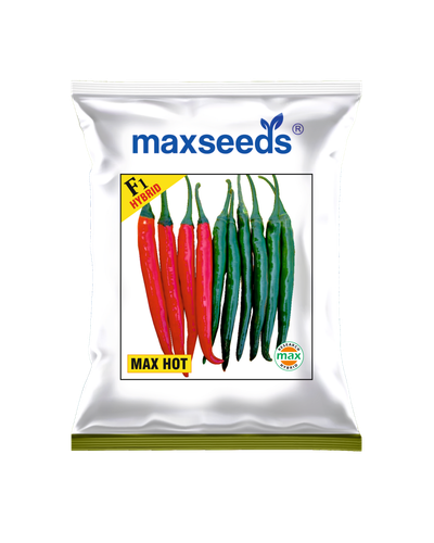 Max Hot