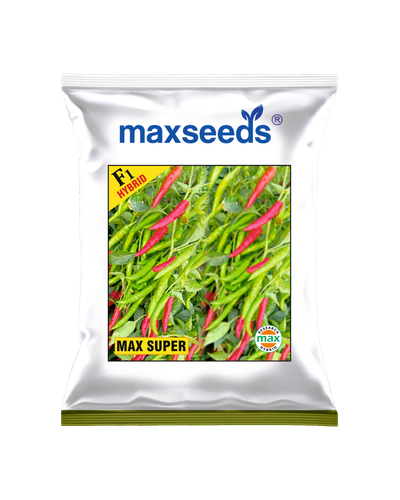 Max Super