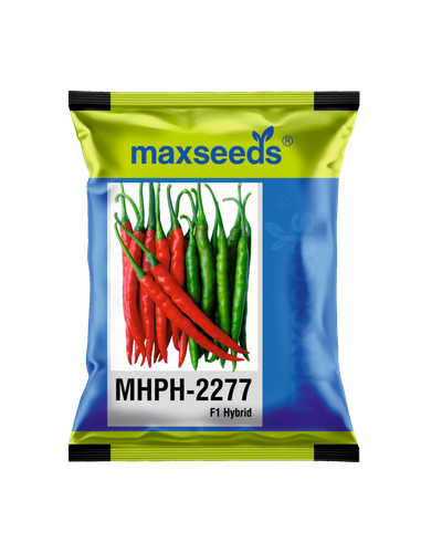 MHPH 2277