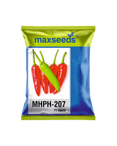 MHPH 207