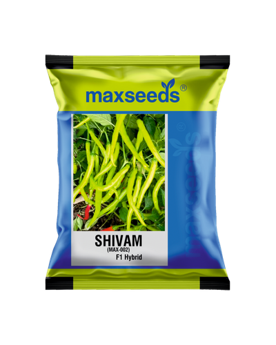 Shivam Max 002