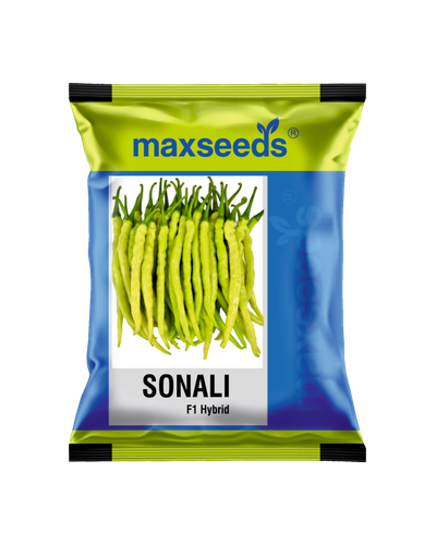 Sonali