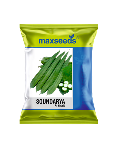 Soundarya