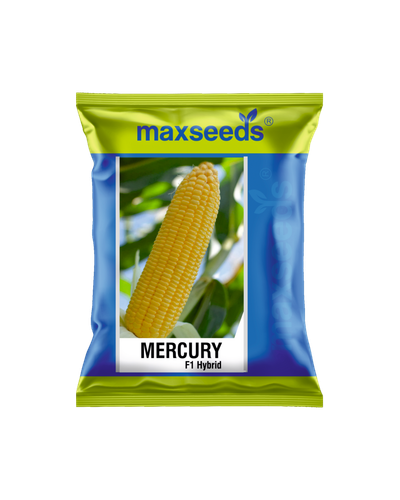 Mercury