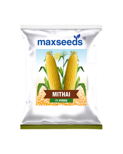 Mithai