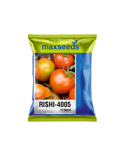 Rishi-4005